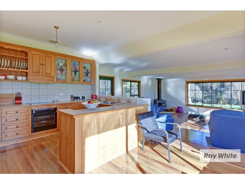 1052 Murchison Hwy, Elliott TAS 7325