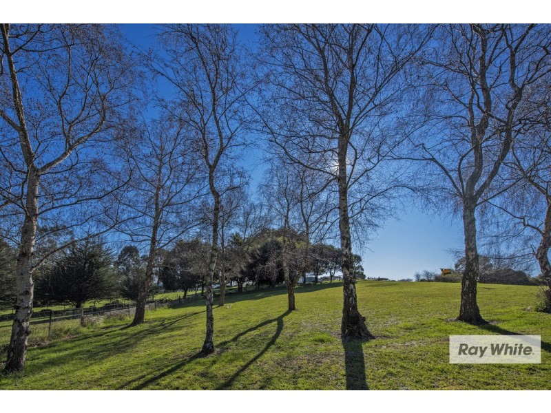 1052 Murchison Hwy, Elliott TAS 7325