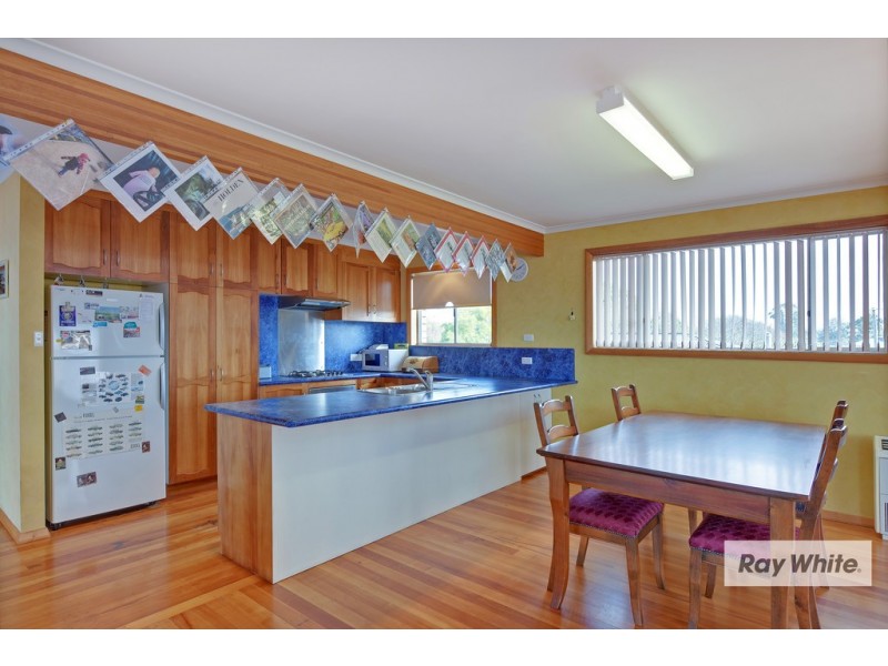 8 Morse Place, Wynyard TAS 7325