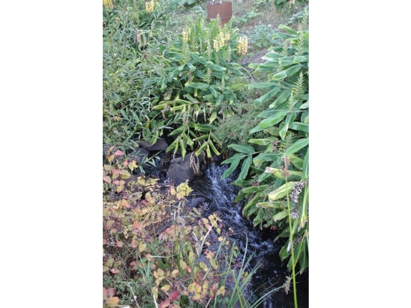 2a Brooklyn Road, Brooklyn TAS 7320