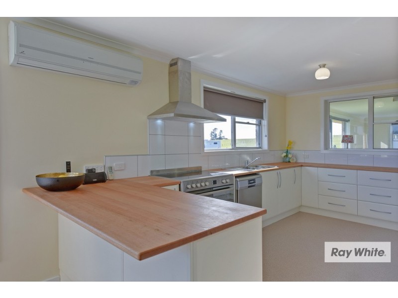 1229 West Mooreville Road, Ridgley TAS 7321