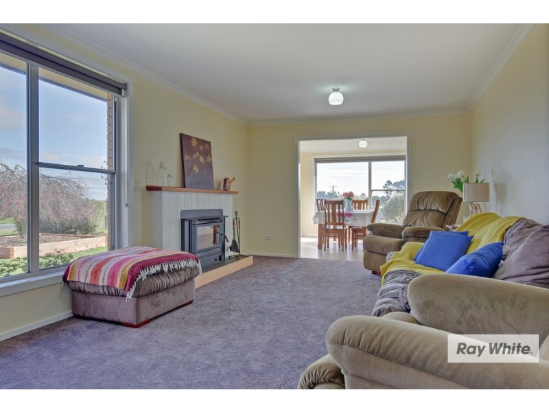 1229 West Mooreville Road, Ridgley TAS 7321