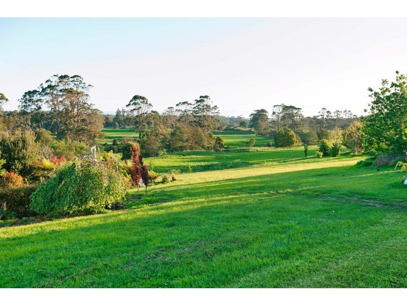 189 Preolenna Road, Flowerdale TAS 7325