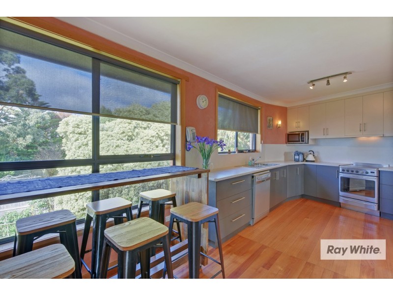 133 Brickport Road, Park Grove TAS 7320