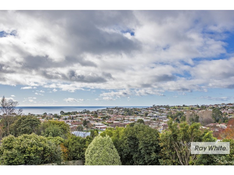 133 Brickport Road, Park Grove TAS 7320