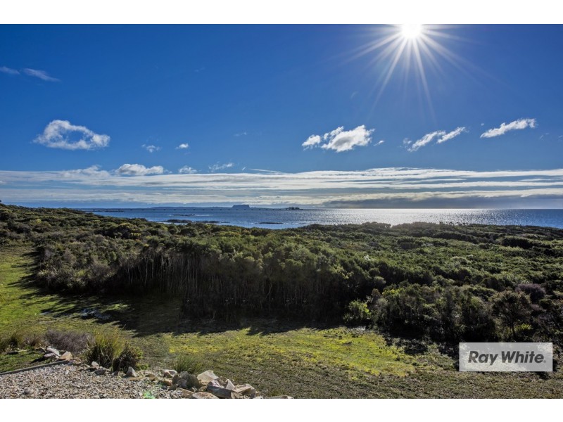 58 Amaroo Drive, Edgcumbe Beach TAS 7321