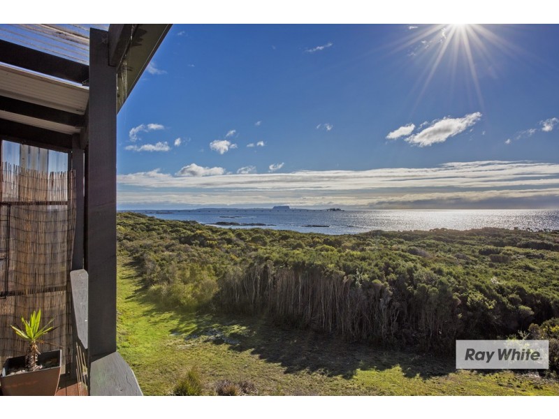 58 Amaroo Drive, Edgcumbe Beach TAS 7321