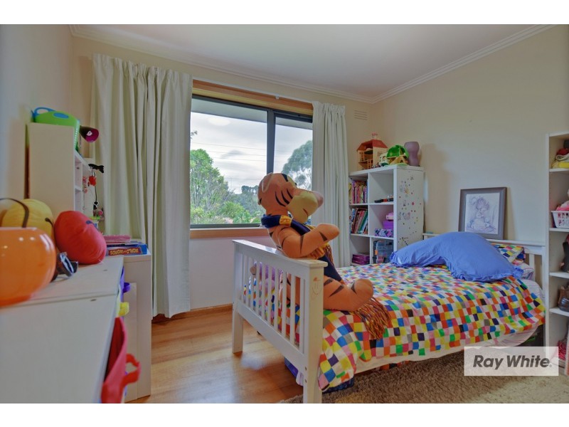42 Curraghmore Avenue, Park Grove TAS 7320