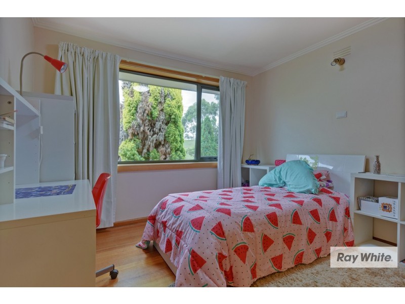 42 Curraghmore Avenue, Park Grove TAS 7320