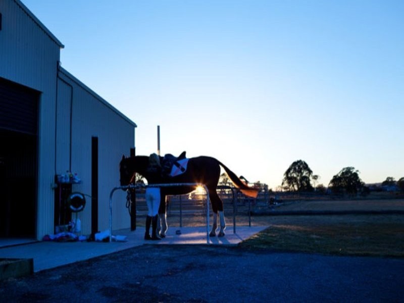 Jimboomba QLD 4280