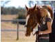Jimboomba QLD 4280