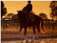 Jimboomba QLD 4280