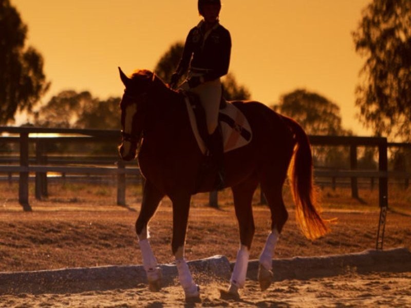 Jimboomba QLD 4280
