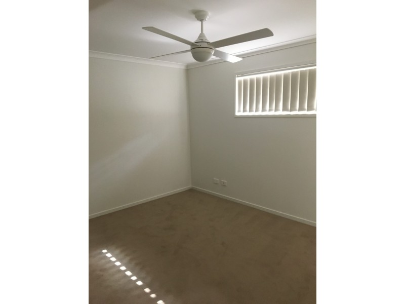 1/11 Spruce Street, Loganlea QLD 4131