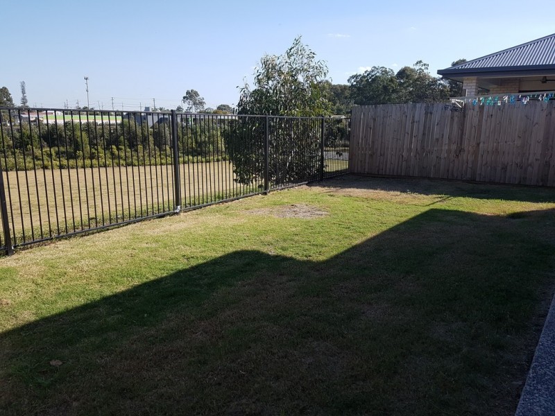 58 South Quarter Drive, Loganlea QLD 4131