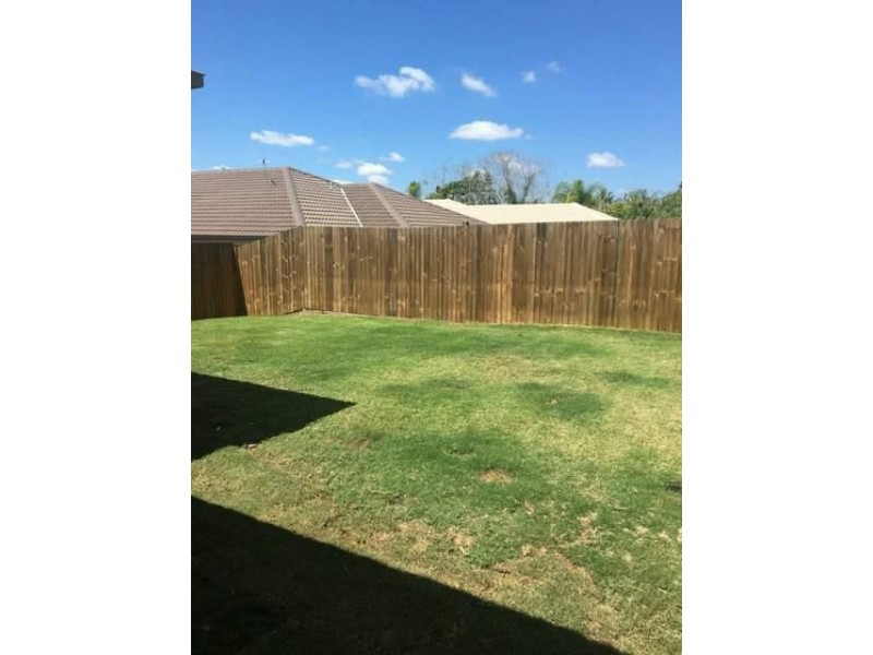 3/11 Spruce Street, Loganlea QLD 4131