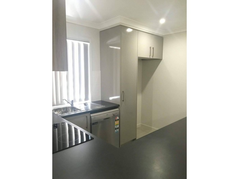 3/11 Spruce Street, Loganlea QLD 4131