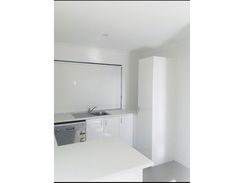 2/54 Spruce Street, Loganlea QLD 4131