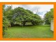 64 TEAK STREET, Cedar Vale QLD 4285
