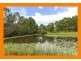 64 TEAK STREET, Cedar Vale QLD 4285
