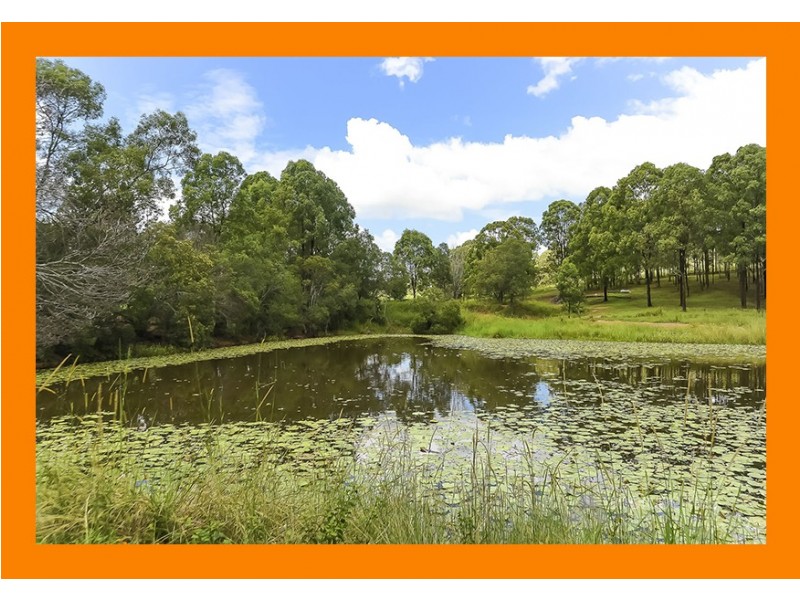 64 TEAK STREET, Cedar Vale QLD 4285