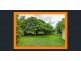 64. Teak Street, Cedar Vale QLD 4285