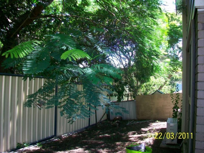 12 Kraatz Avenue, Loganlea QLD 4131