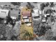 27 Loffs Road, Loganholme QLD 4129