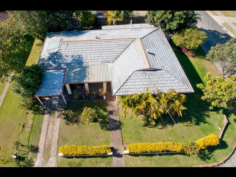 1 Celosia Street, Daisy Hill QLD 4127