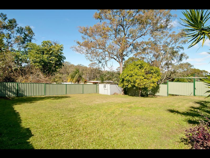 14 Nerine Street, Kingston QLD 4114