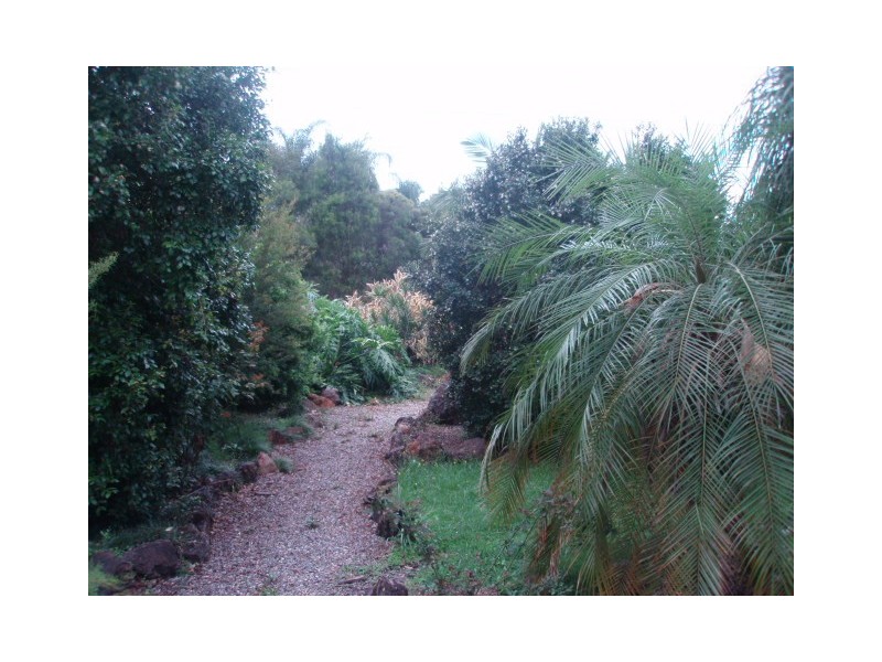 2 Savage Street, Tanah Merah QLD 4128