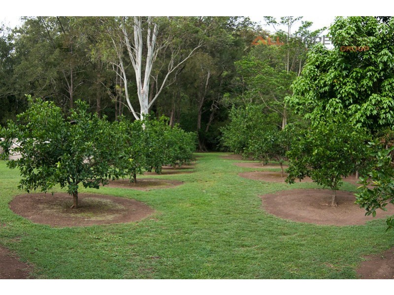 503 Cedar Creek Road, Cedar Creek QLD 4207