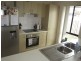 4 Moonlight Lane, Coomera QLD 4209