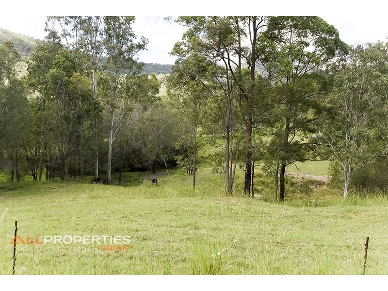 430 Cedar Creek Road, Cedar Creek QLD 4207