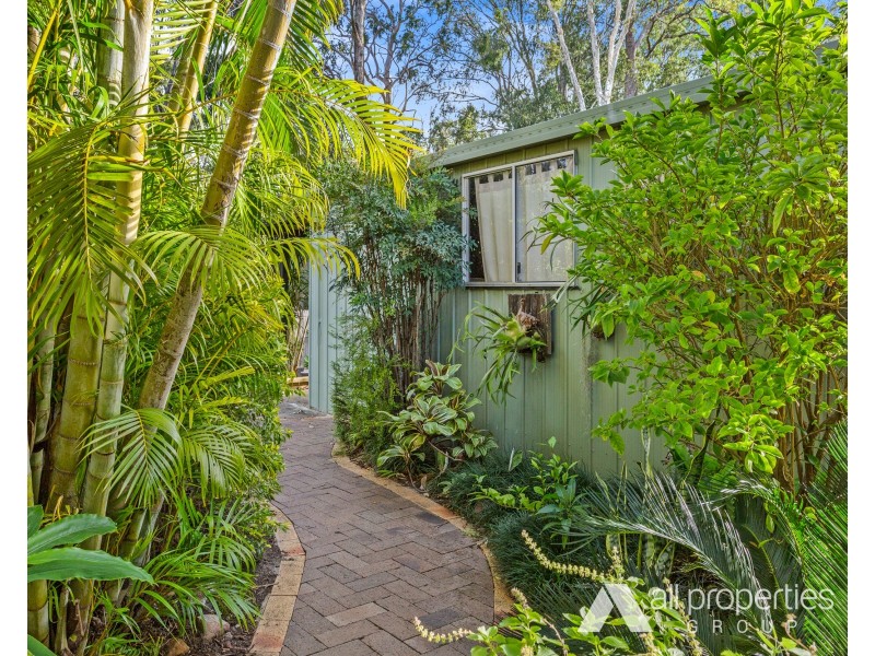 17 Conifer Street, Hillcrest QLD 4118
