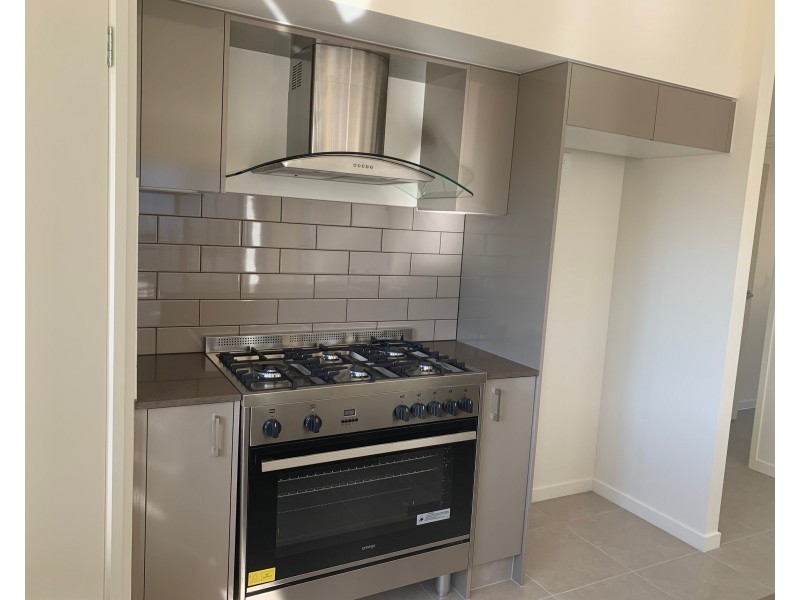 137 Palaszczuk Avenue, Collingwood Park QLD 4301