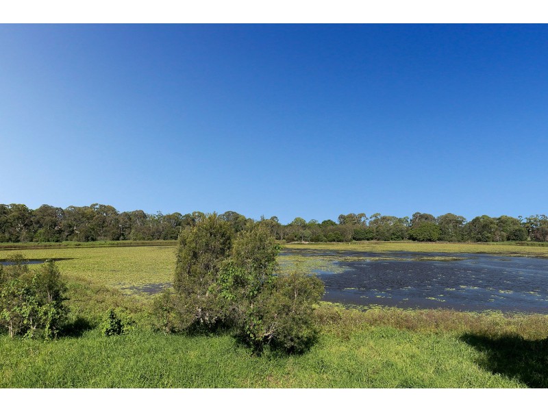 17 Hoskins Street, Sandgate QLD 4017