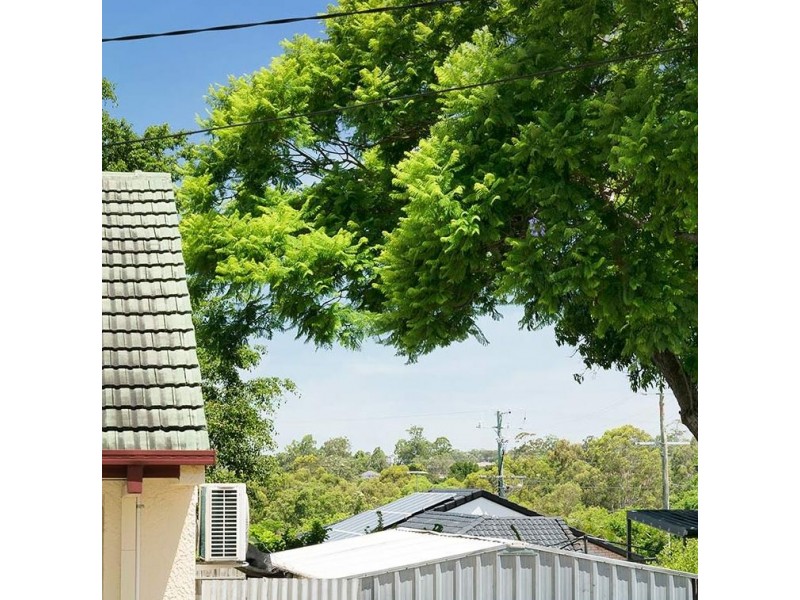41 Crocus Street, Inala QLD 4077