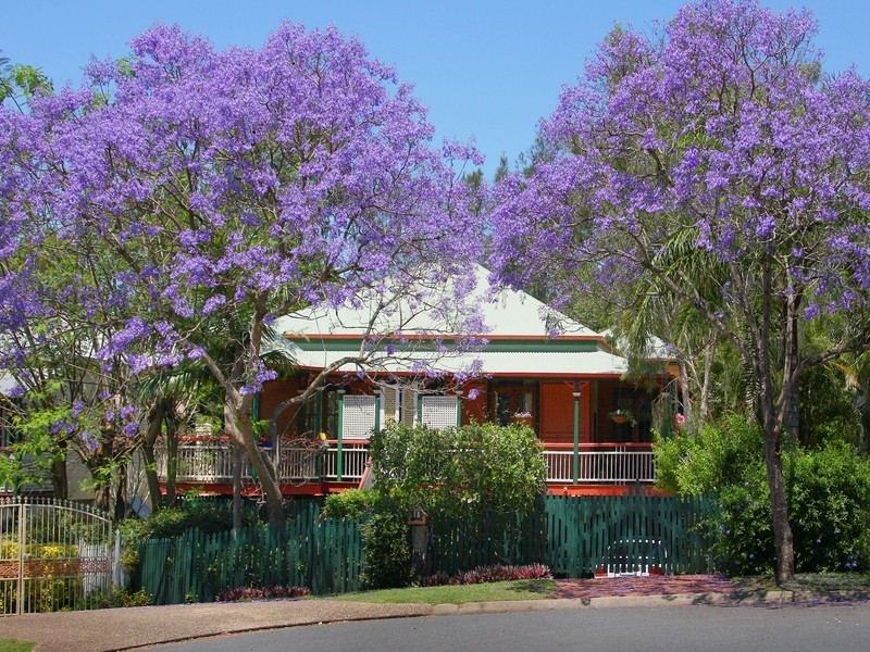 19 Wattle Avenue, Yeerongpilly QLD 4105