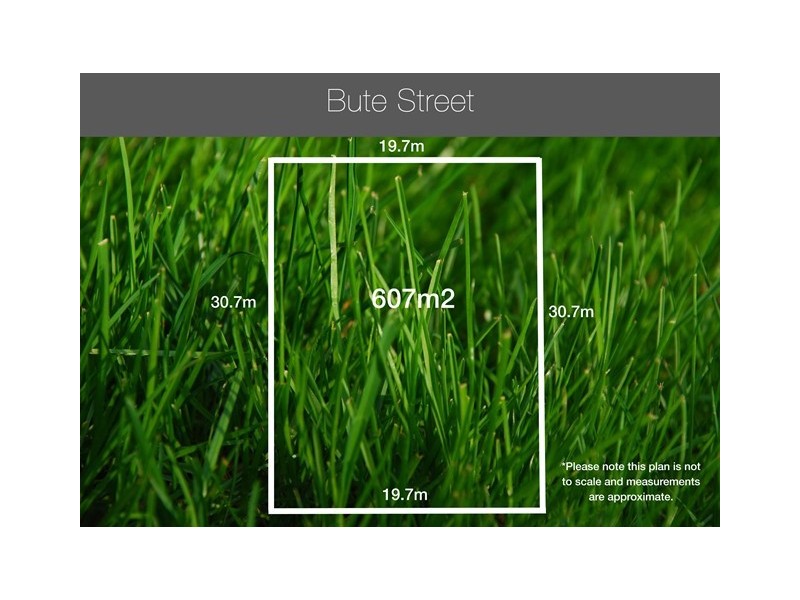 36 Bute Street, Sherwood QLD 4075