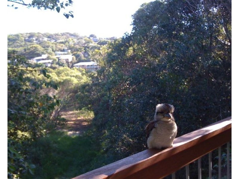 1/26 Billa Street, Point Lookout QLD 4183