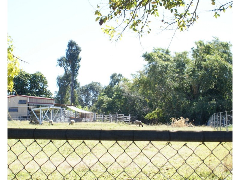 16 Rinora Street, Corinda QLD 4075