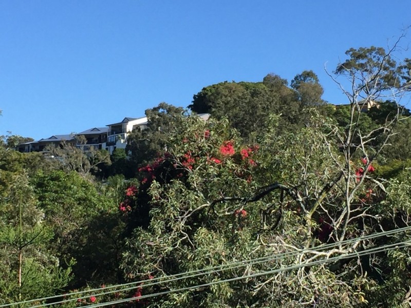 2/21 Forrester Terrace, Bardon QLD 4065