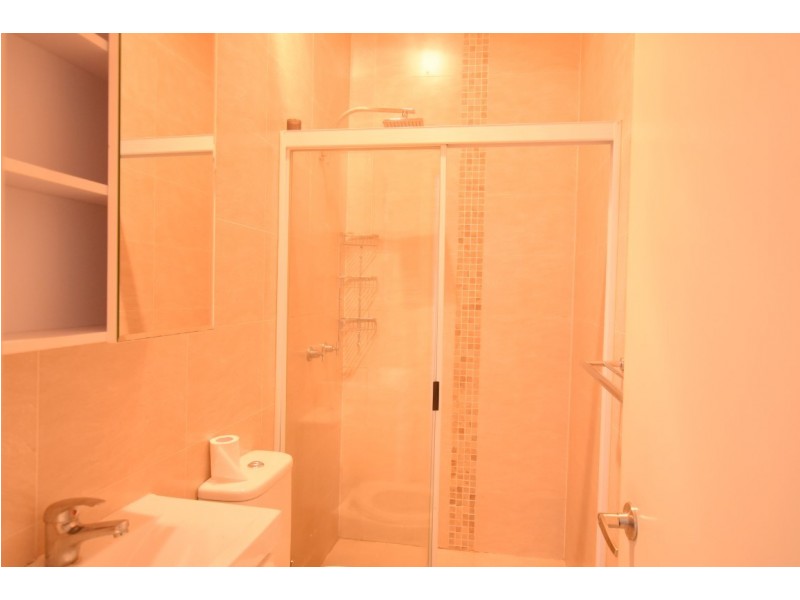 11 Breust Place, Punchbowl NSW 2196