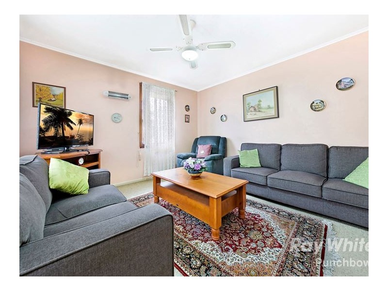 6 MITCHAM, Punchbowl NSW 2196