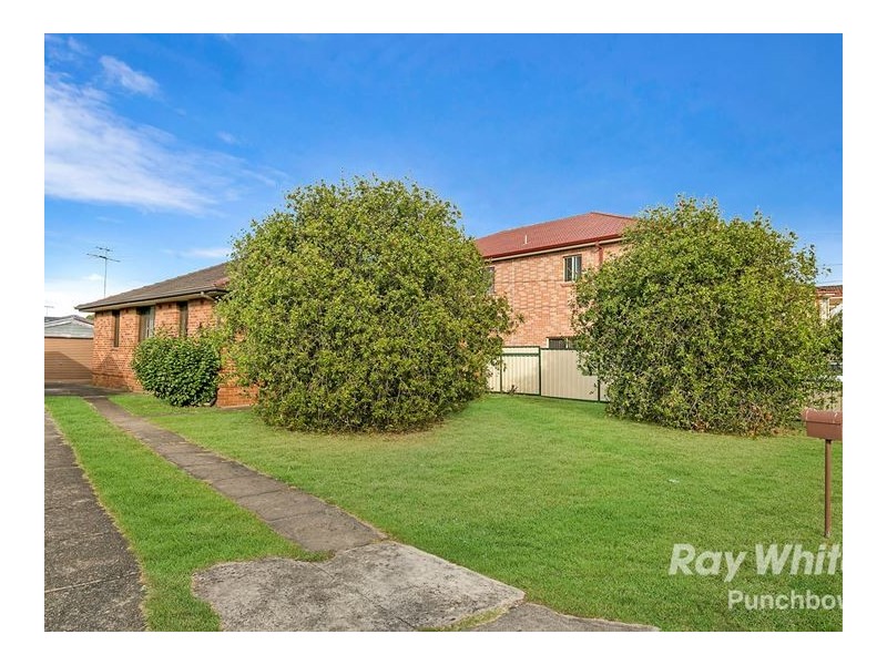 6 MITCHAM, Punchbowl NSW 2196