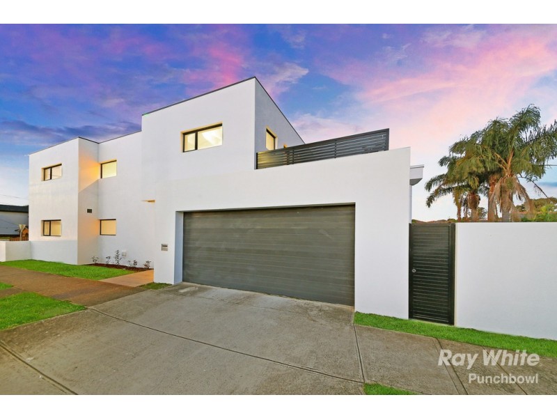 18 Hillcrest St, Wiley Park NSW 2195