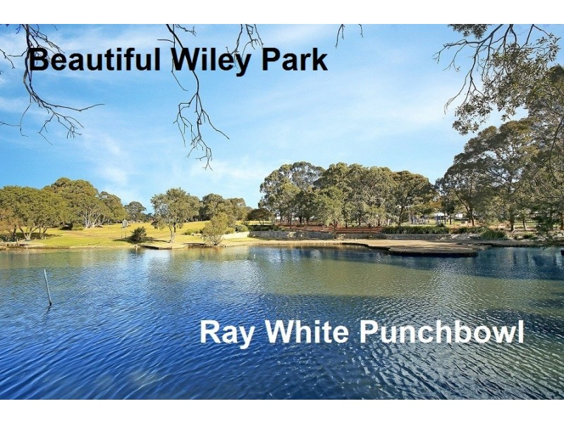 18 Hillcrest St, Wiley Park NSW 2195