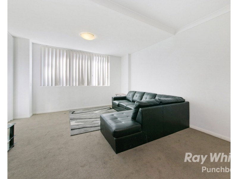D80 20 Matthews Street, Punchbowl NSW 2196
