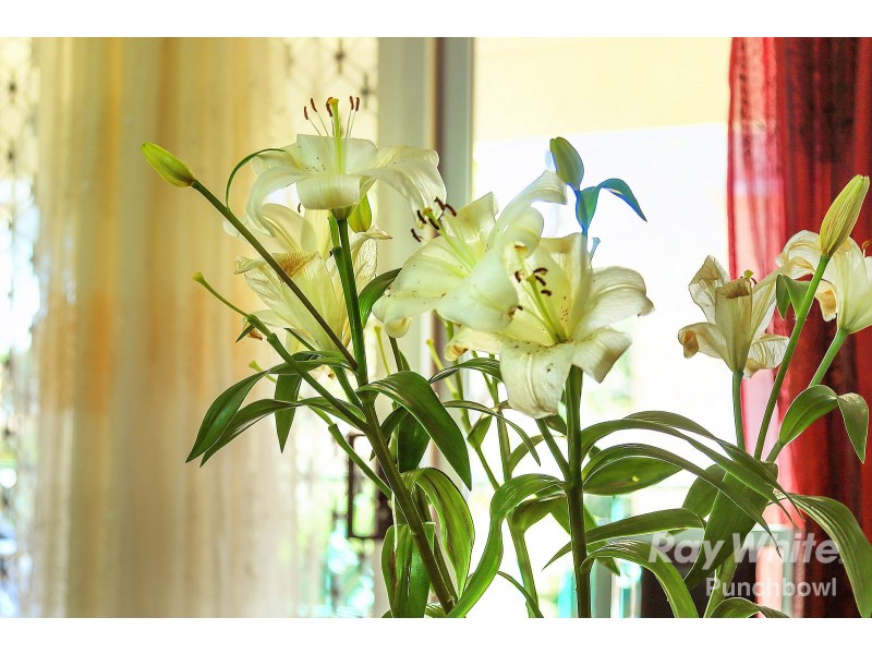 5/1 Stacey St, Bankstown NSW 2200